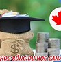 Miễn Chứng Minh Tài Chính Visa Canada 2024 Online Application