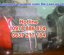 Sâm Nước Đài Loan Gia Bảo Nhiều