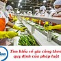 Sản Xuất Khác Gì Với Gia Công