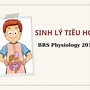 Sinh Lí Hệ Tiêu Hoá